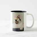 Recherche de mom photo tasses Muqueuse