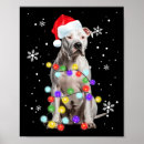 Recherche de chien pitbull posters Animaux