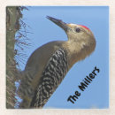 Recherche de oiseaux dessous de verres Pour eux