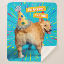 Suche nach lustige der hunde decken Lustiges tier