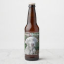 Recherche de chien blanc photographie Photographe