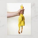 Recherche de choquer cartes postales Oiseau