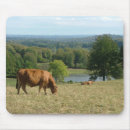 Suche nach limousine mousepads Französisch