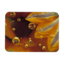 Recherche de pétales magnets Jaune