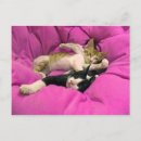 Recherche de relax cartes postales Détente