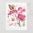 Suche nach magnolie postkarten Blume
