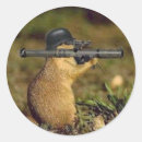Recherche de bazooka Armée