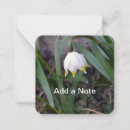 Recherche de ressort correspondances cartes Botanique