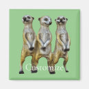 Recherche de suricate magnets Mignon
