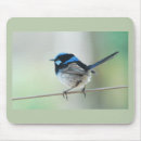 Suche nach großartig mousepads Vögel