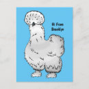 Recherche de silkie cartes postales Poulet