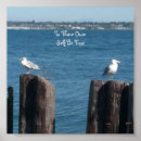 Suche nach schluchten poster Vogel