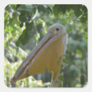 Suche nach pelikan aufkleber Vogelvogel