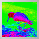 Suche nach küstenvögel poster Vogelvogel
