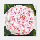 Recherche de camélia magnets Floral