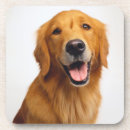 Recherche de smilies dessous de verres Chien