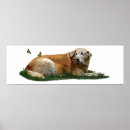 Recherche de races de chien posters Animal de compagnie