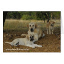 Suche nach schäferhunde postkarten Hallo