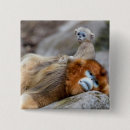 Recherche de singes badges Faune