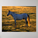 Suche nach backlit poster Stehend