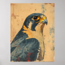 Suche nach merlin poster Raubvogel