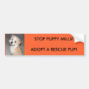 Recherche de moulins de chiot Chiots