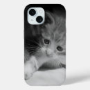 Recherche de chat curieux iphone coques Chaton
