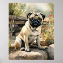 Recherche de mignons de carlin posters Pour tous