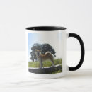 Recherche de préfecture tasses Intégral