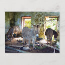 Recherche de irish cartes postales Cottage