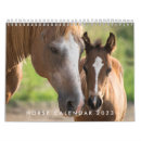 Recherche de horse bureau fournitures Chevaux