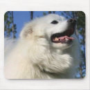 Recherche de esquimau tapis souris Chien