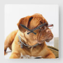 Suche nach dogue kunst Tiere