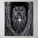 Suche nach schwarze eule poster Monochrom