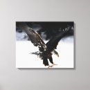 Recherche de aigle chauve art Prédateur