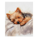 Recherche de yorkshire terrier posters Mignon