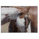 Suche nach pinto untersetzer Western