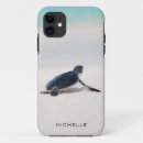 Recherche de créatures de mer Plage
