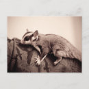 Recherche de sucreries cartes postales Photographie