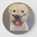 Recherche de doucement enduit Terrier