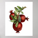 Suche nach granatapfel poster Gemüse