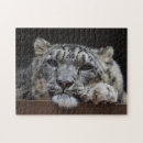 Suche nach schnee puzzle Katzen