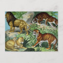 Recherche de animaux vintage cartes postales Nature