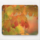 Suche nach ahornblatt mousepads Rot