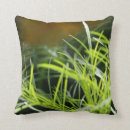 Recherche de herbe coussins Frais