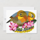 Suche nach vogel postkarten Liebe