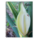 Recherche de fleur de spathe Plante