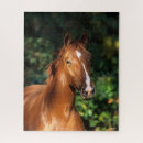 Suche nach kastanien puzzle Kopfschuss