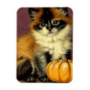 Recherche de vintage chat magnets Halloween