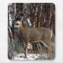 Recherche de trophée tapis souris Faune